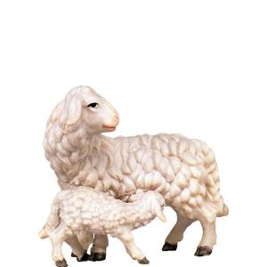 Pecora con agnello H.K.