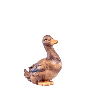 Duck Artis brown