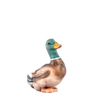 Duck Artis green