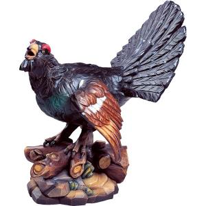 Gallo cedrone