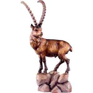 Ibex