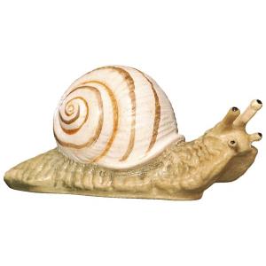 Snail