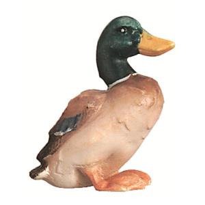 Anatra