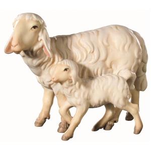 Sheep with lamb