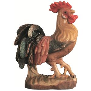 Cock