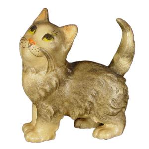 Gattino in piedi