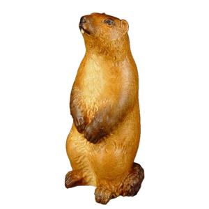 Marmot standing