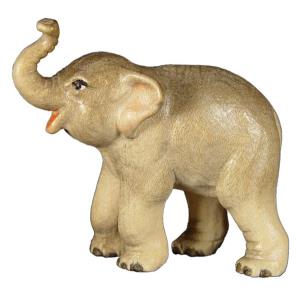 Junger Elefant