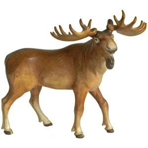 Elk