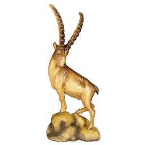 Ibex