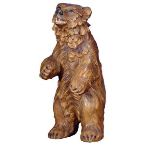 Bear standing in pine