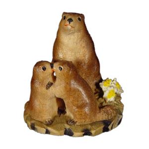 Marmot group in pine