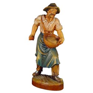 Seminatore in cirmolo