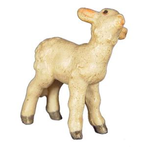 Lamb standing