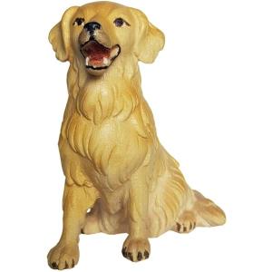 Golden Retriever sitzend