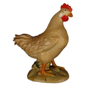 Gallina