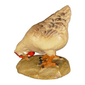 Gallina brucante