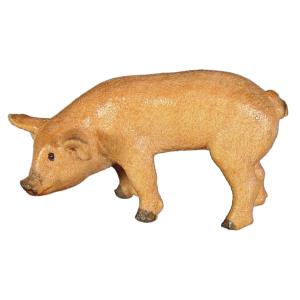 Maialino che mangia