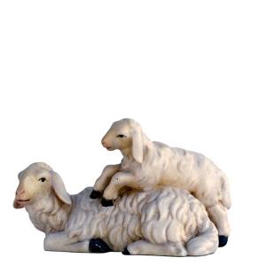 Schaf hockend mit Lamm
