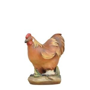 Gallo
