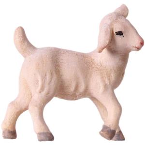 Lamm