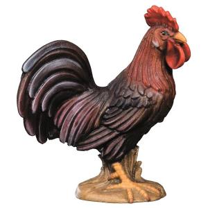 Cock