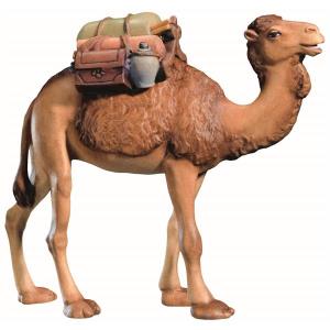 Cammello