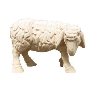 Fressendes Schaf
