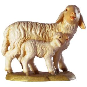 Sheep with lamb