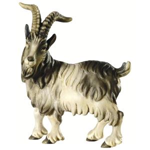 He-goat