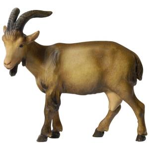 Goat - head left