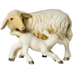 Pecora con agnello