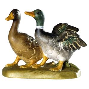 Pair of ducks