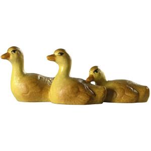 Chickenducks in three