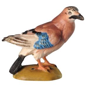 Ghiandaia