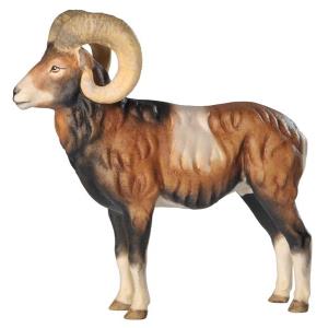 Muflone