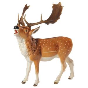 Fallow deer