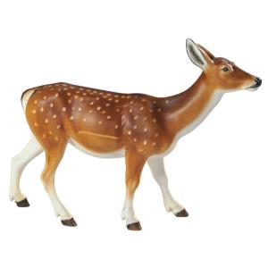 Fallow deer female