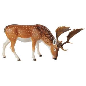 Fallow deer grazing
