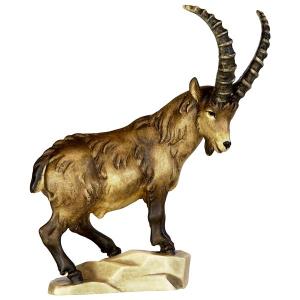 Ibex