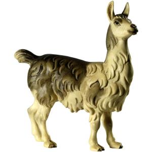 Llama