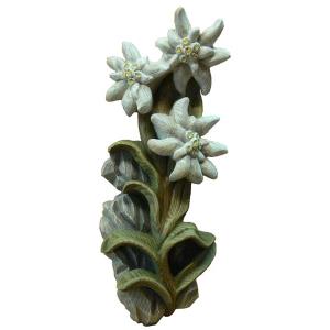 Edelweiss relief Esche