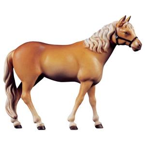 Pferd Haflinger