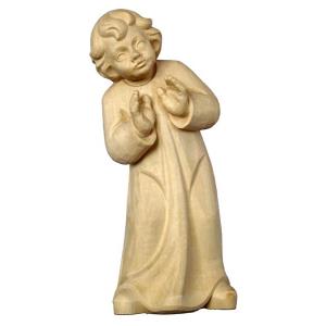 Il bambino meravigliato FRASSINO