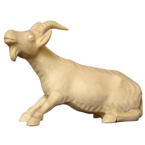 Capra testona FRASSINO