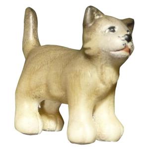 Gatto frassino