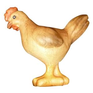 Gallina frassino