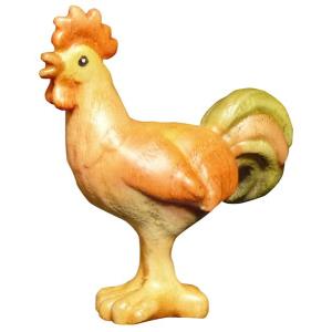 Gallo frassino