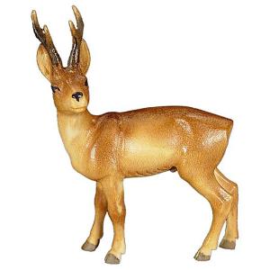 Roebuck