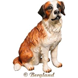 Saint Bernard